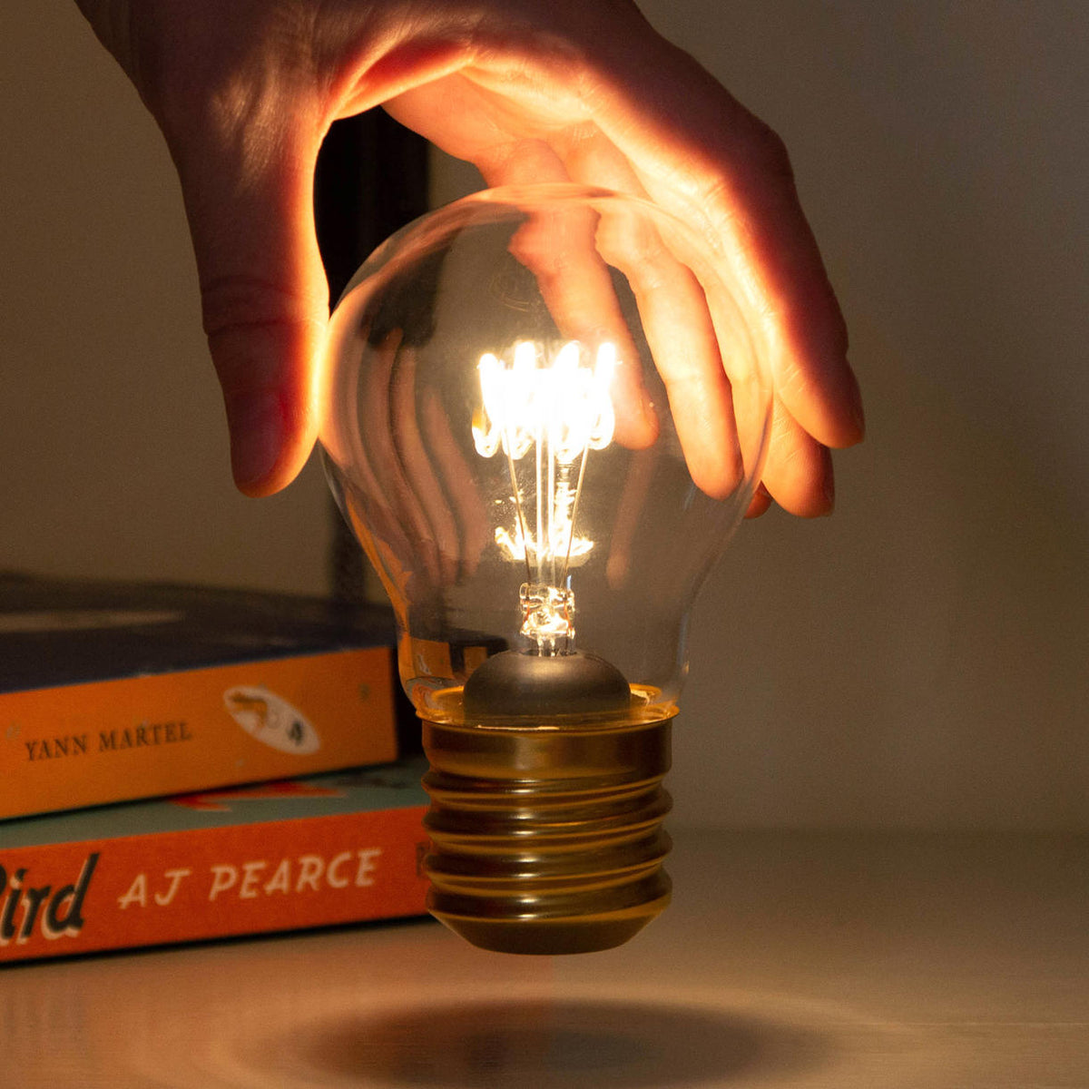 Buy Rechargeable Edison Table Lightbulb — The Worm That Turned 