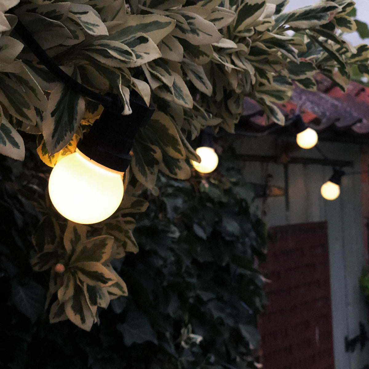 Buy Outdoor Extendable Opaque LED Festoon Lights Sets — The Worm that Turned  - revitalising your outdoor space