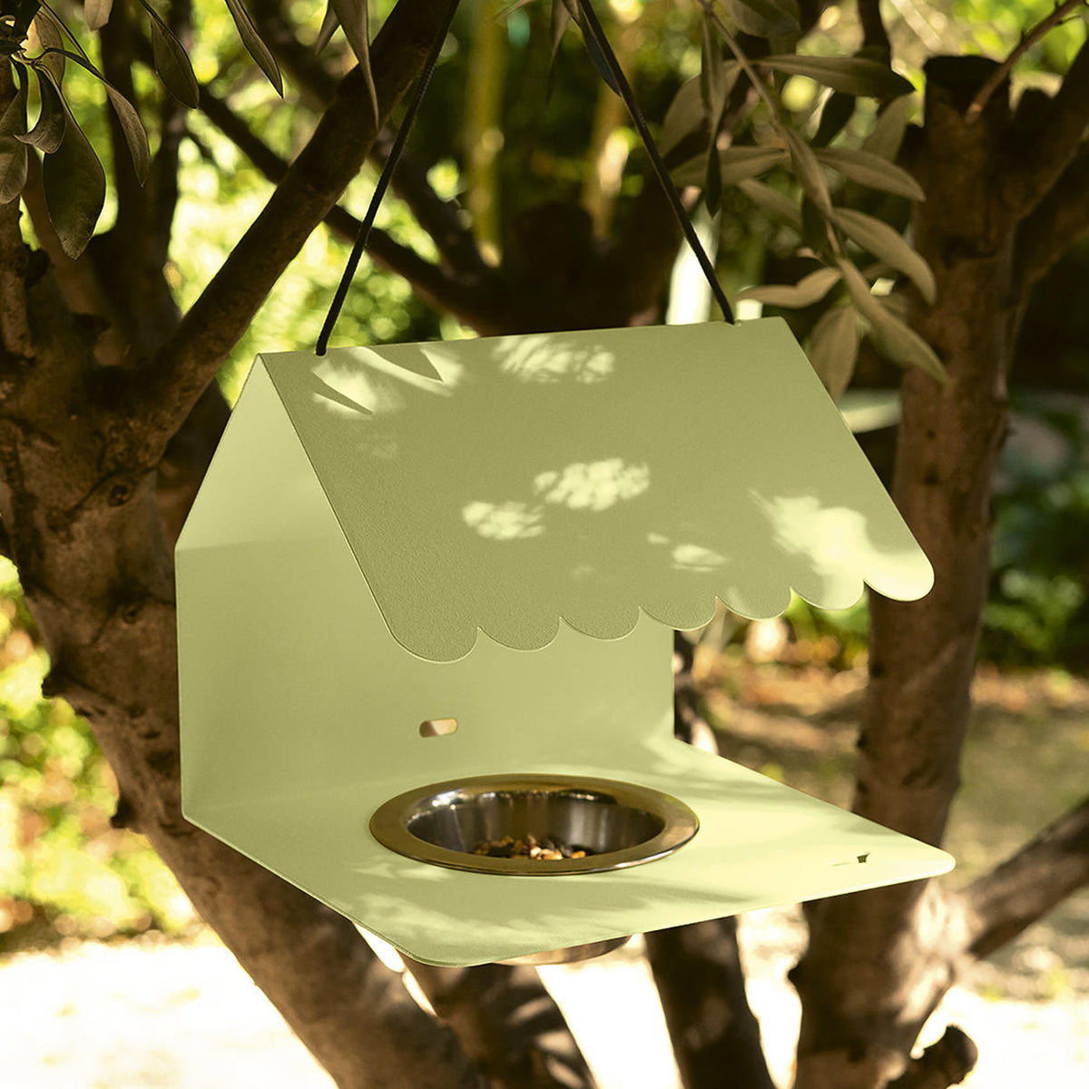 Buy Picoti Bird Feeder — The Worm that Turned revitalising your outdoor  space
