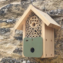 How to Attract Birds and Bees to your Outdoor Space