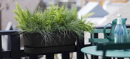 Balcony Plantstuff