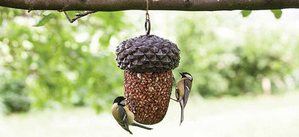 Bird Feeders