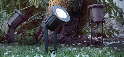 Garden Spotlights