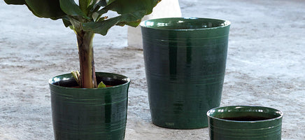 Indoor Plant Pots