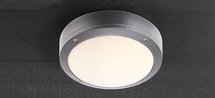 Outdoor Ceiling Lights