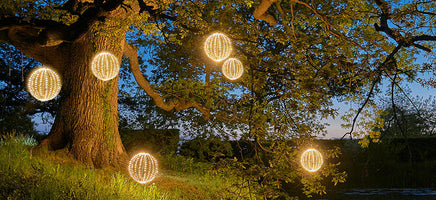 Outdoor Lights for Large Trees