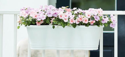 Window Boxes & Troughs