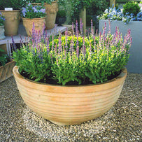 Thames Bowl Planter