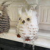 Festive Owl Duo Tweet and Twoo Decoration Set