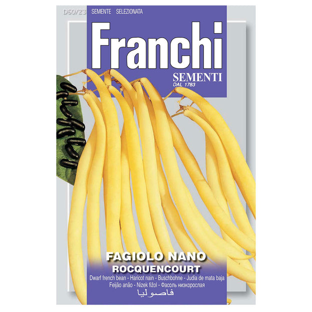 Dwarf Yellow French Bean Rocquencourt Seeds