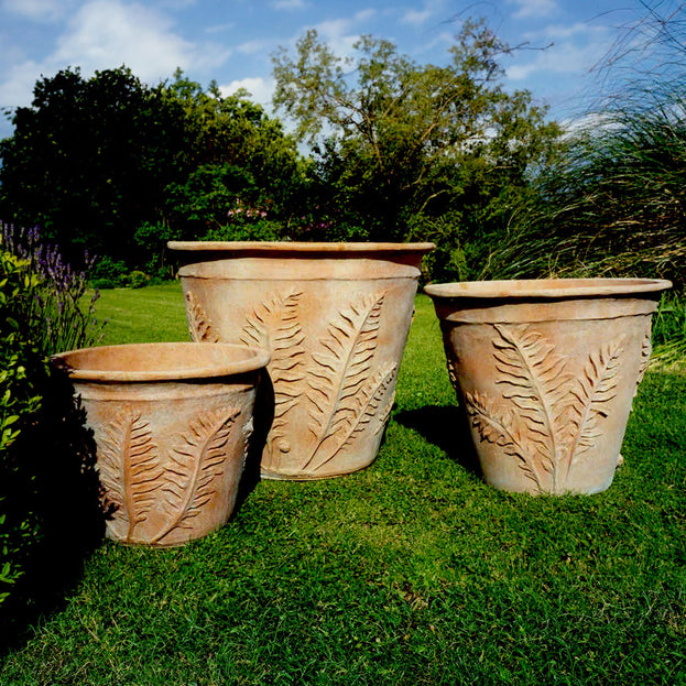 Fern Planters