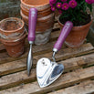 Aster Trowel and Dibber Set