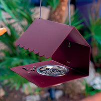 Picoti Bird Feeder