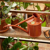 Haws Fazeley Flow Indoor Watering Can - 2 pint