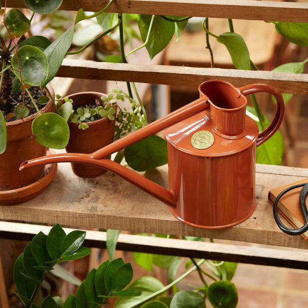 Haws Fazeley Flow Indoor Watering Can