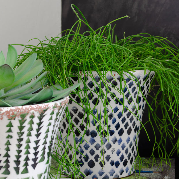 Rustic Black Blue Conical Plant Pot