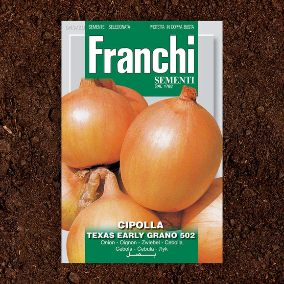 Onion Texas Early Grano Seeds