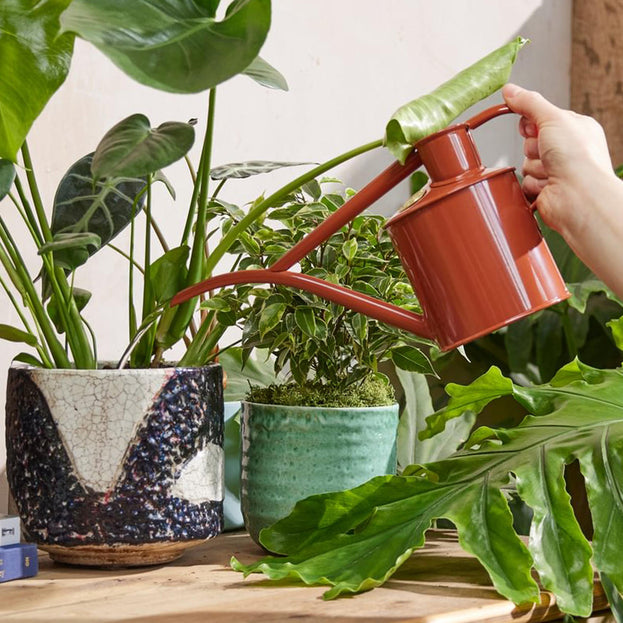 Haws Fazeley Flow Indoor Watering Can