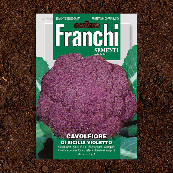 Purple Cauliflower