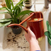 Haws Fazeley Flow Indoor Watering Can - 2 pint