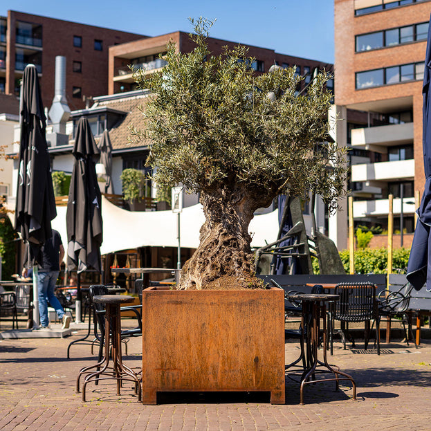 Square Corten Steel Planters with Feet