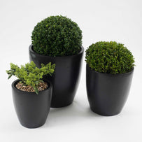 Cone Egg Planters - Terrazzo