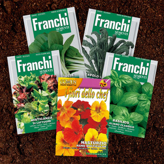 Sow in June Seed Selection - 5 pack