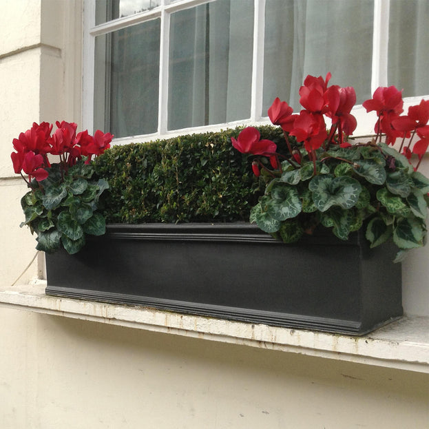 Chelsea Window Box