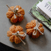 Chunky Knit Pumpkin Decoration Set of 3