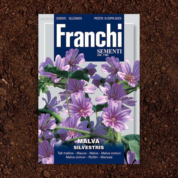 Buy Malva Seeds — The Worm that Turned - revitalising your outdoor space