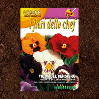 Edible Pansy Flower Seeds