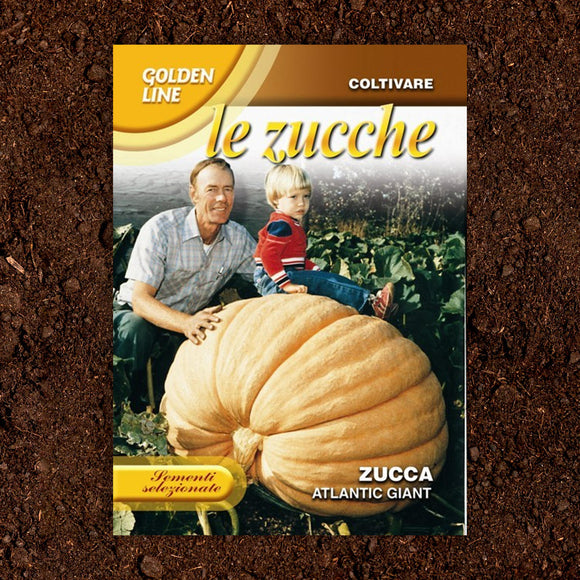 Pumpkin Giant Atlantic Seeds