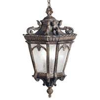 Tournai Grand Outdoor Hanging Lantern