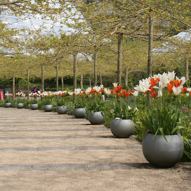 Geo Sphere Planters