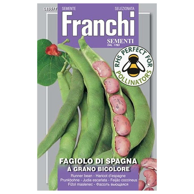 Runner Bean Di Spagna Seeds