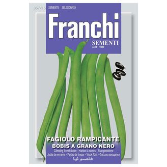 French Bean Bobis a Grano Nero Climbing Seeds