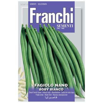 French Bean Dwarf Boby Bianco Seeds