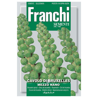 Brussel Sprouts Seeds