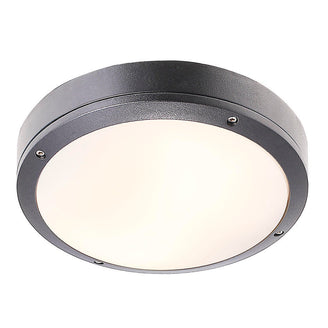 Desi Outdoor Ceiling/Wall Lighting