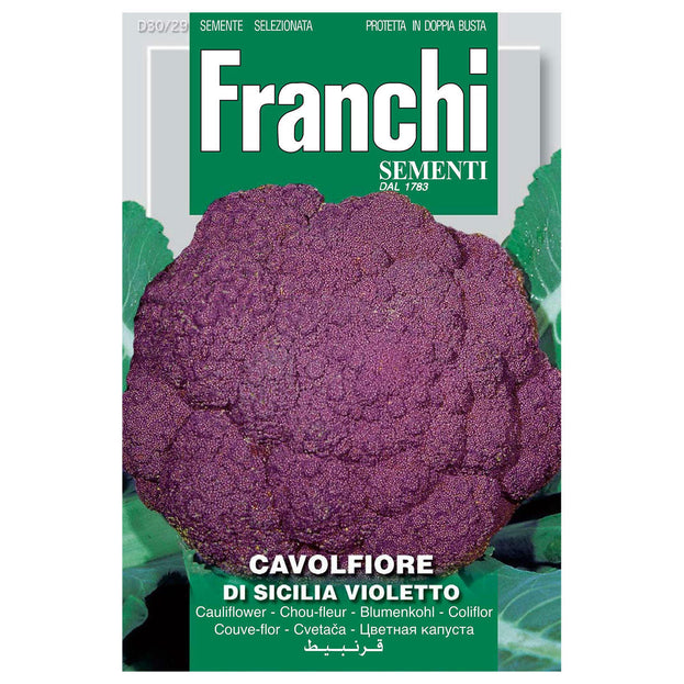 Purple Cauliflower