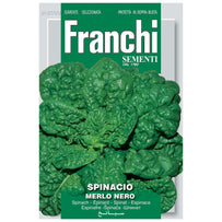 Spinach Merlo Nero Seeds