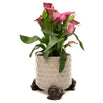 Snail Plant Pot Feet - Set of 3