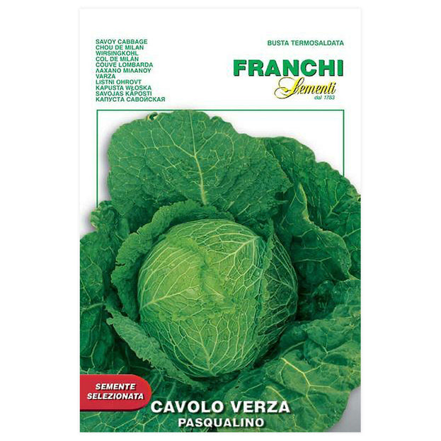 Savoy Cabbage Pasqualino Seeds