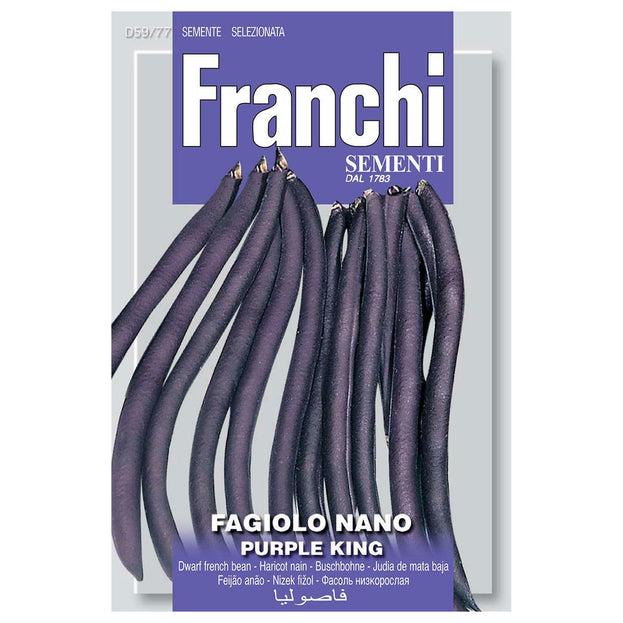 French Bean Dwarf Purple King Seeds