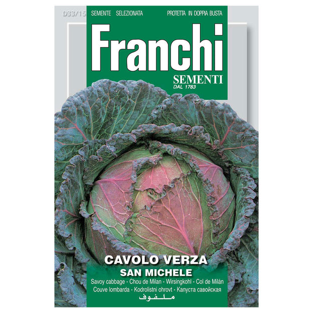 Savoy Cabbage San Michele Seeds