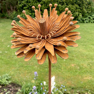 Rusted Aster Flower (6584054743100)