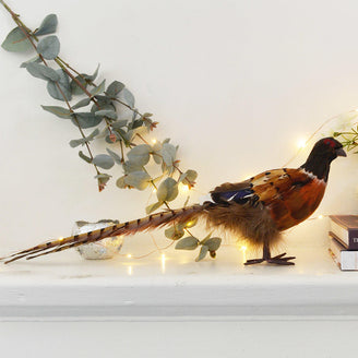 Phileas Pheasant Decoration (4653377290300)