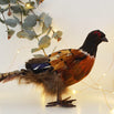 Phileas Pheasant Decoration (4653377290300)