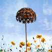 Rusted Allium Flower (6584053432380)