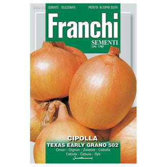 Onion Texas Early Grano Seeds